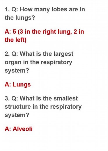 9950NURSING MCQ STAFF NURSE QUESTION NURSING OFFICER QUESTION NORCET QUESTION ANSWER STAFFNURSEPAPER