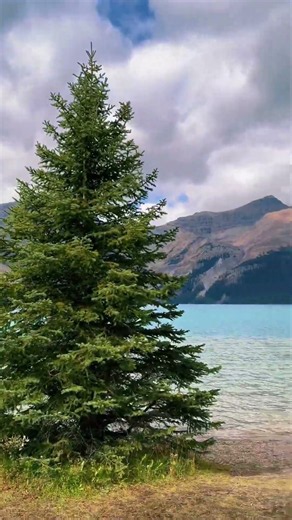 Serene Mountain Lake with Crystal Clear Waters
