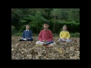 FALUN DAFA - Exercícios