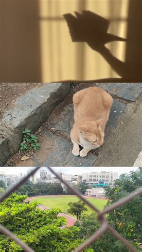 finally back today at 4 pm stay tuned with ad shreen#minivlog