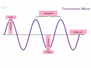 Transverse Wave label