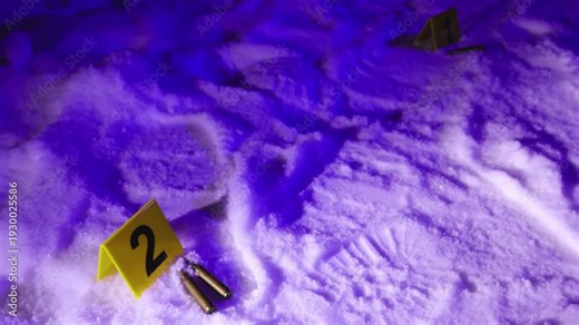 Crime scene evidence markers beside spent bullets in fresh snow illuminated by flashing red and blue police lights.