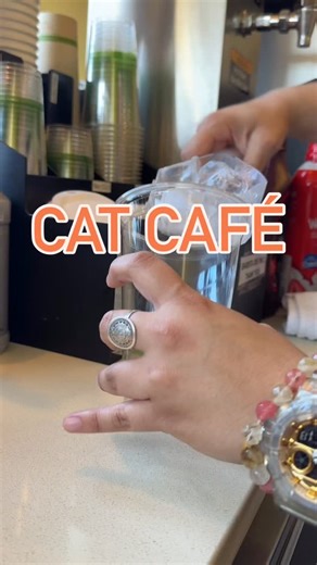 15 reactions | This week’s Cat Café drink special is the Cocoa...