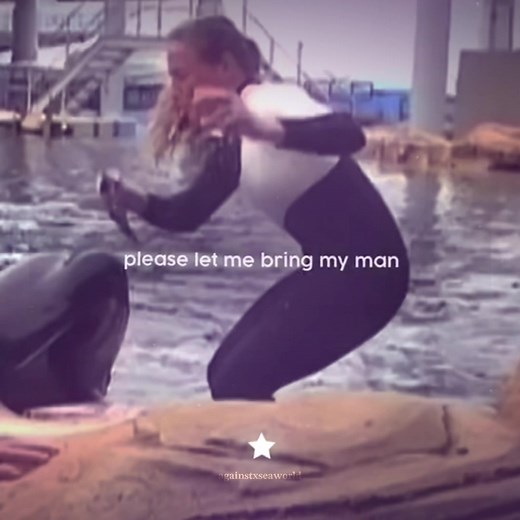 Dawn Brancheau's Tragic Encounter with Tilikum the Orca
