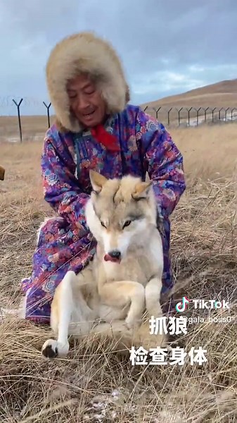 aaaa help me 😂 #dog #pet