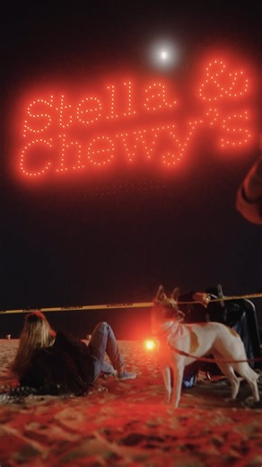 84K views · 1.7K reactions | While the 4th of July can be fun for us humans, it can be quite frightening for our pets. Here are some ways you can help to keep your dog calm during fireworks   Keep your dog inside ️ White noise  Wear them out with some exercise beforehand  Provide a distraction Learn more about dog anxiety by checking out our blog: https://bit.ly/3RPWYiw #stellaandchewys #dog #dogs #doglife #doglover | Stella & Chewy's | Facebook