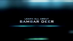 Aussie Hunting Adventures TV Series on Reels