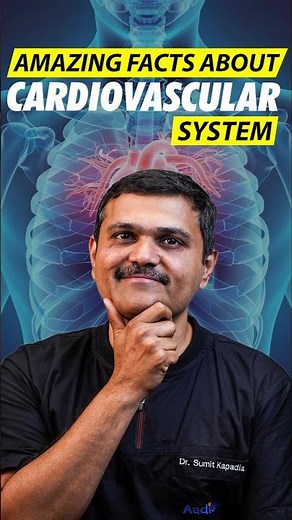 5 SHOCKING Facts About The Circulatory System Revealed