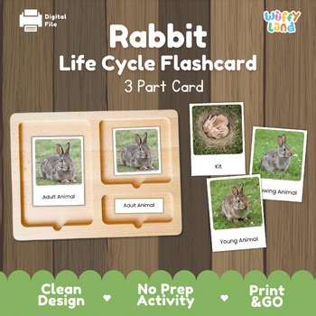 Rabbit Life Cycle Montessori 3-Part Cards - Science Zoology Flashcards