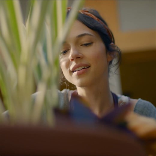 Vigoro has an assortment of plants and planters to create the perfect container garden. | The Home Depot