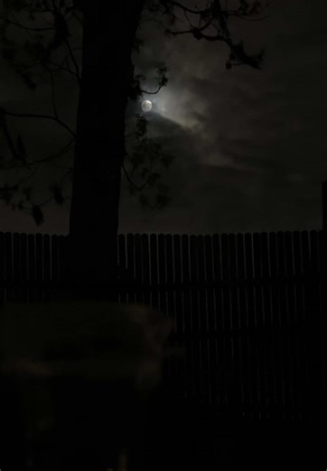 A super lua não veio para passar despercebida… 🌝 #superlua #luacheia #rituales #witch