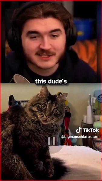 Schlatt's Unexpected Commentary Explained