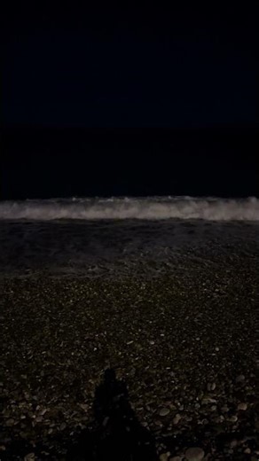 Sea 16 #shorts #shortsvideo