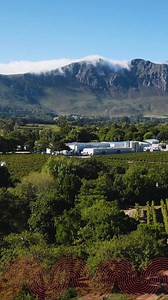 251K views · 32 reactions | Defy is helping young chefs turn passion...