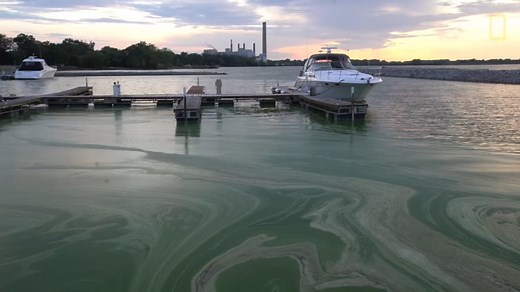 So Great, So Fragile: Great Lakes, Lake Michigan pollution, microplastics, algal blooms endanger ecosystems