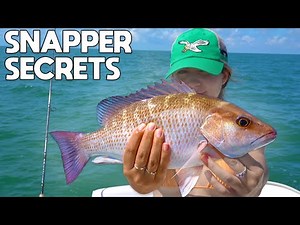 How To Catch Mangrove Snapper And Find New Spots!