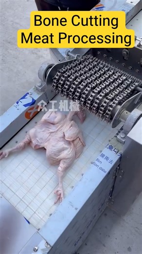Automatic Bone Cutting Machine l #MeatProcessing #KitchenEquipment #ButcherTools