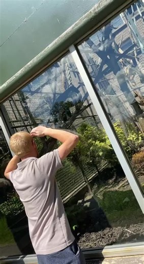 Andrew Dunbar on TikTok