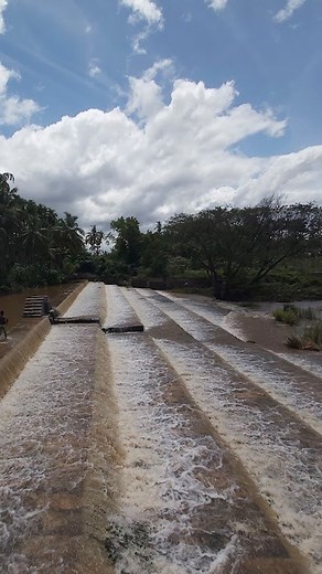 Vidhya Lakshmi on Instagram: "10 minutes from Ukkadam Hidden place Noyyal River Anaikattu Gmap 📍 Noyyal river view point Visit only in rainy days #coimbatore #coimbatorian #kongumandalam #tamil #tamilreels #tamilvideo #noyyalriver #noyyal #onedaytripfromcoimbatore #vidhyaasvideography"
