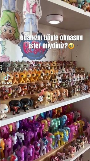 böyle bir miniş odası ister miydiniz ? #lps #littlestpetshop #minişler #lpscollector #lpscollector