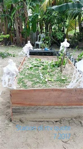 station id rtv 2017 quote 7