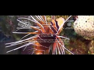 Final Seconds of End Credits Transitioning Underwater - Set 5