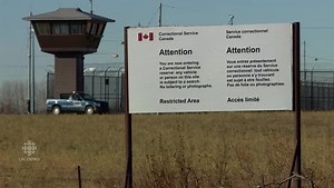 'It's a form of stimulation, actually'