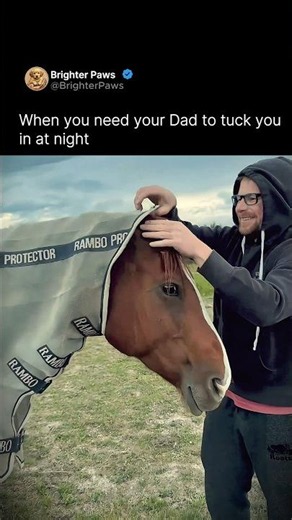 When you need your Dad to tuck you in at night 🐴