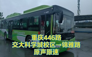 江津学子回家路，夜间隧道大堵车丨重庆公交 446路:巴福交大东门→锦雅路口 全程第一视角原声原速前方展望POV