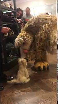 Puppet meets puppet - Snook & Taffy