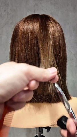 Hair Cut Techniques: A Stylist's Guide to Slide Cutting