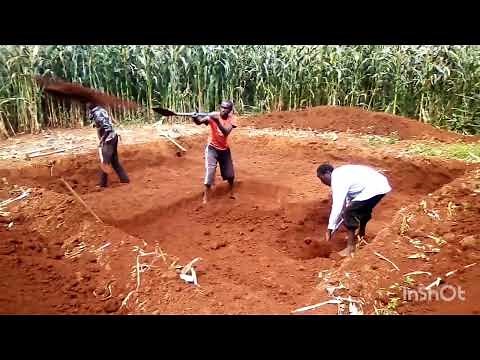 part 1:small scale silage making preparation: How to dig the silage pit by hand