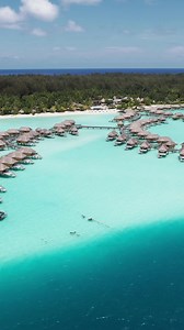 Welcome to Tahiti – a dreamlike destination shaped by iridescent lagoons, palm-fringed shores and lush emerald landscapes 🩵 Sail into island time with our exclusively curated Tahiti cruise holidays, packaged with return flights and luxe hotel stays 🚢🥂 Start your Tahiti journey today by calling our CLIA-accredited Cruise Experts on 1300 829 694 https://bit.ly/44vFTAS | My Cruises