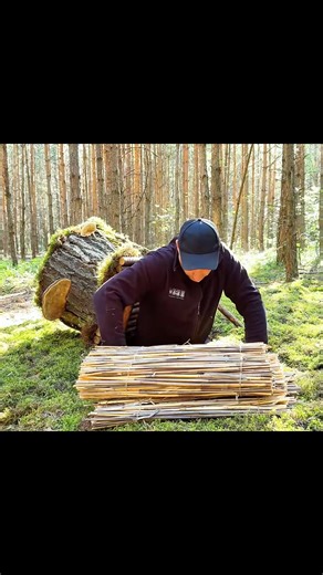 Secret camouflage shelter under fake tree in the forest #shelter #survivor #survival #bushcraft #satisfying #campinglife #camping #Outdoors | Vantage Ridge Bushcraft
