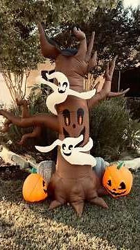 Halloween Decorations Adventure! 🎃 Kids Explore Outside #kidsshorts #shorts #halloweenshorts