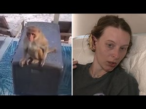 Loose pet monkey in Oklahoma attacks woman and rips part of her ear off: 'It's absolutely scary'