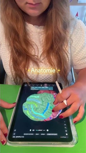 Anatomie vibe 💔🥺🫶🏻 #anatomie #medizin