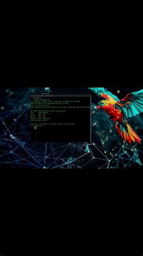 What Nmap Actually Does When You Run a Scan