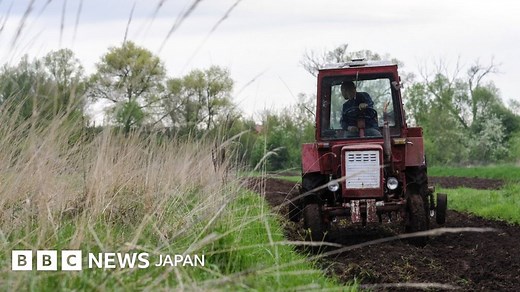 ウクライナでの戦争、世界的な食料危機を引き起こす恐れ＝国連 - BBCニュース