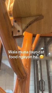 2.9M views · 71K reactions | Wala muna tayo cat food ngayon ha.  | Hello Meow Cafe | Facebook