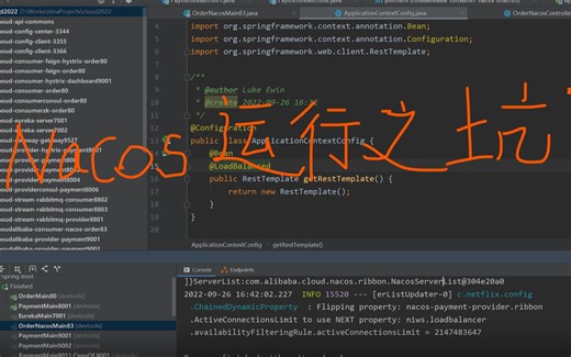 Nacos的下载安装运行