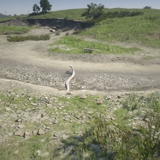 6.8K views · 14 reactions | squirrel Impossible escape from Snake | Kesari Gaming | Facebook