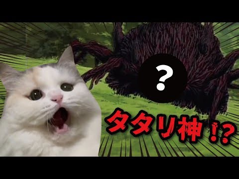 猫がタタリ神になってしまいました【漫才】【コント】 【猫アニメ】