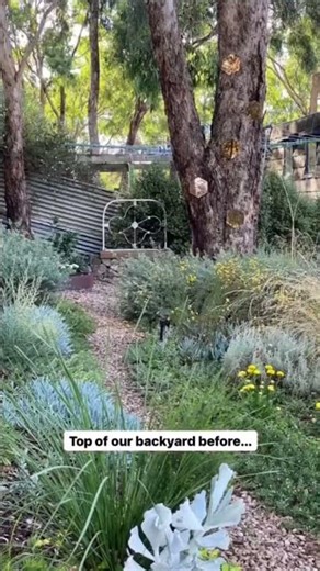 A garden makeover BEFORE & AFTER - Garden Design - Landscape Design - Gardening in Australia