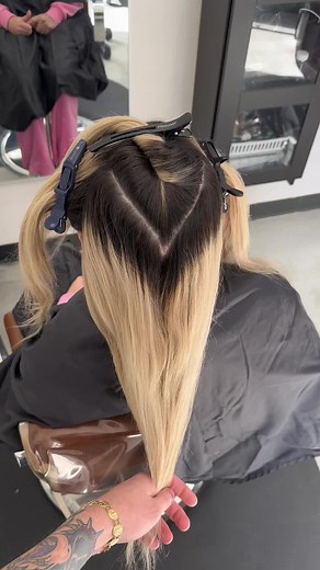 Hair Color Correction and Transformation Tutorial