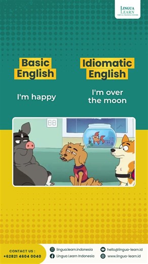 Basic English vs Idiomatic English