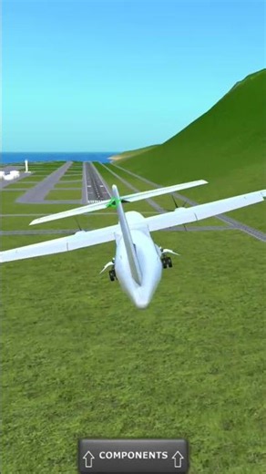 AIR CORSICA FLIGHT 1051