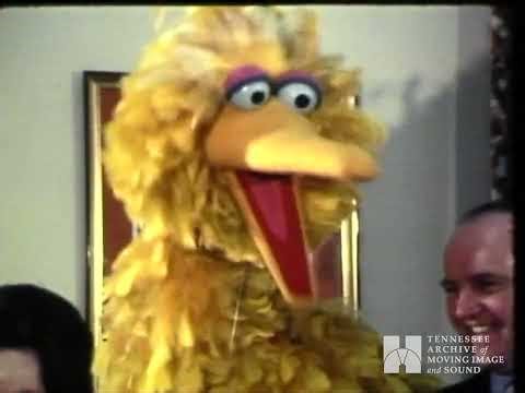 Big Bird Meets Knoxville Mayor Kyle Testerman