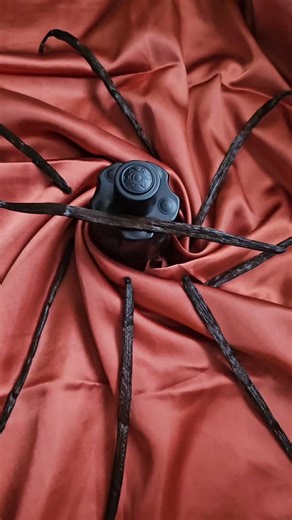 amy24 on Instagram: "Azzaro The Most Wanted Parfum is really majestic. Long lasting oriental spicy fragrance. This creamy bourbon vanilla and amber wood offers elegant. Solid and long-lasting fragrance with excellent longevity. For firs time he start strong with excellent projectors. Ideal for day or night special occasion. The packaging is so sleek and manly feel very luxe.Nice revolver-types bottle. Overall it's a strong attention grabbing scent with solid performance and stylish presentation.