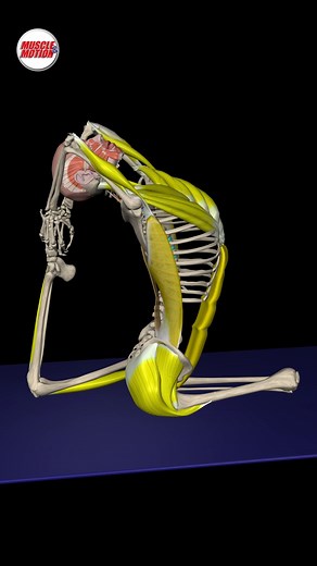 59K views · 994 reactions | Ready to elevate your practice? ...